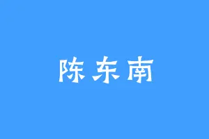 陈东南