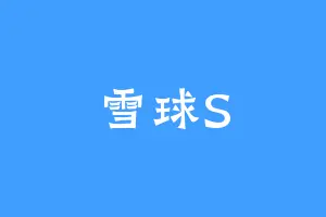 雪球S