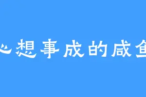 心想事成的咸鱼