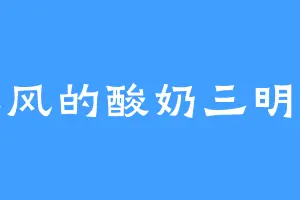 拉风的酸奶三明治