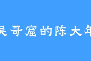 吴哥窟的陈大年