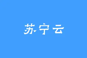 苏宁云