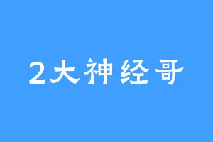 2大神经哥