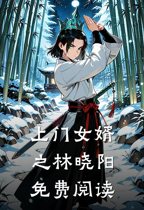 上门女婿之林晓阳免费阅读