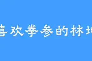 喜欢拳参的林坤