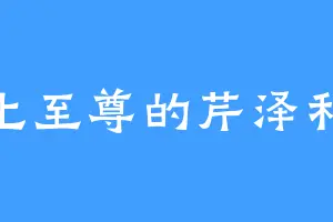 无上至尊的芹泽和也