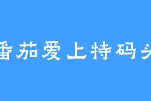 番茄爱上特码头