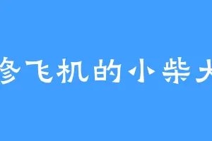 修飞机的小柴犬