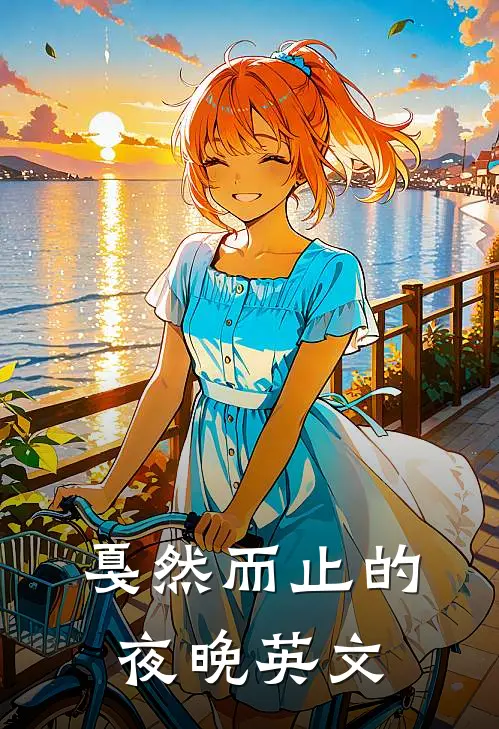 戛然而止的夜晚英文