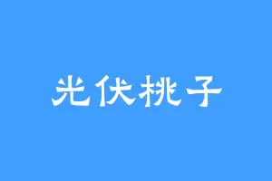 光伏桃子