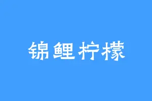 锦鲤柠檬