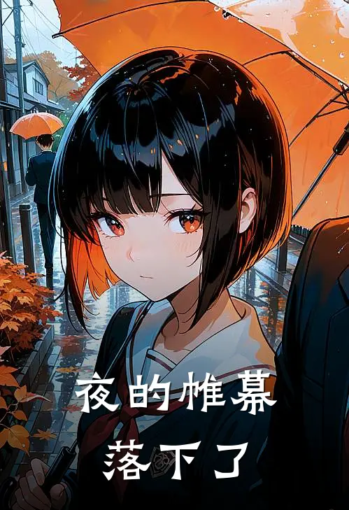 夜的帷幕落下了