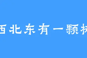 西北东有一颗树
